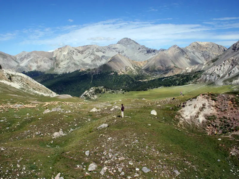 Audrey Douville and Maxime Robinard shepherd sheep in the French Alps with two sheep dogs