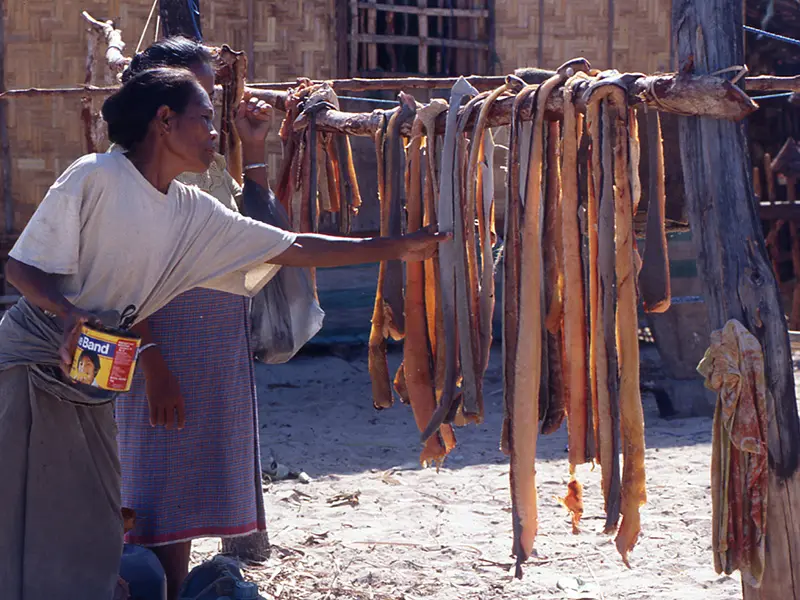 Indonesian sea nomad woman drying fish