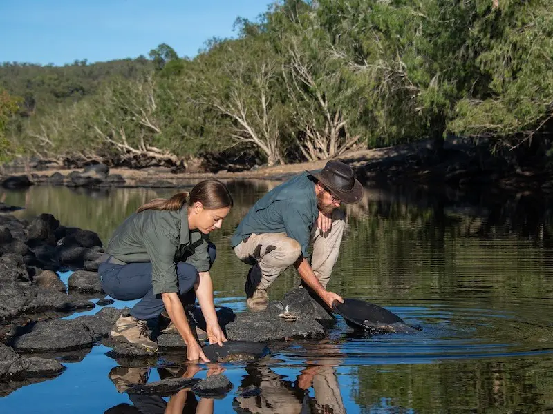 aussie gold hunters jacqie and andrew panning for gold in river