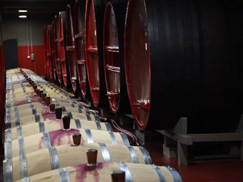 Cellar with rows of wooden Penfolds barrels